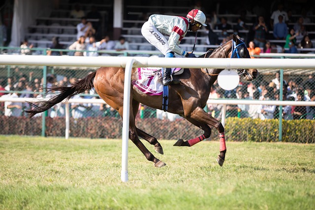 香港賽馬馬匹狀態分析：影響臨場表現的關鍵評估指標與數據解讀